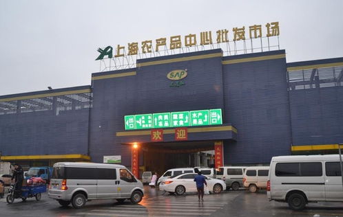 上海農(nóng)產(chǎn)品中心批發(fā)市場(chǎng) 從農(nóng)貿(mào)樞紐到鞋帽批發(fā)的多元探索